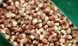 南麻豆,探寻古老文化的瑰宝与传承