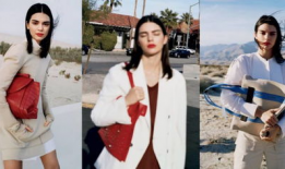 哈喽麻豆,揭秘网红经济背后的魅力与挑战