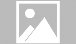 娘妻 电视剧演员表,实力派明星齐聚一堂